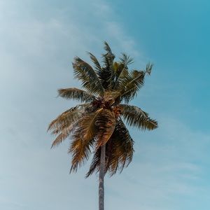 Meet your Posher, Sophia